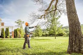 Reliable Lynden, WA Tree Removal and Landscaping Services Solutions